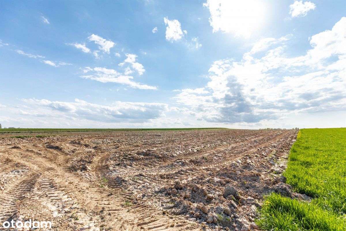 Działka z warunkami zabudowy Wojciechów Kol. Pierw - Pełny obrazek: 5/7
