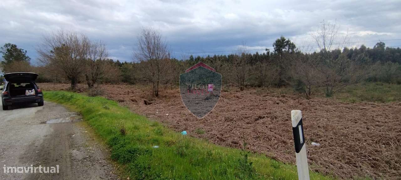 Terreno Rústico  Venda em Mundão,Viseu - Grande imagem: 2/4