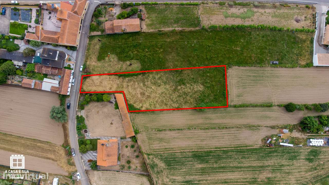 Terreno  c/ viabilidade de construção em Salreu, Estarreja - Exclusivo-12