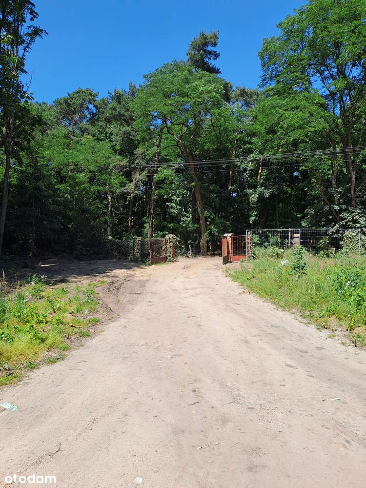 Pomieszczenie biurowe Borówiec - Pełny obrazek: 4/6