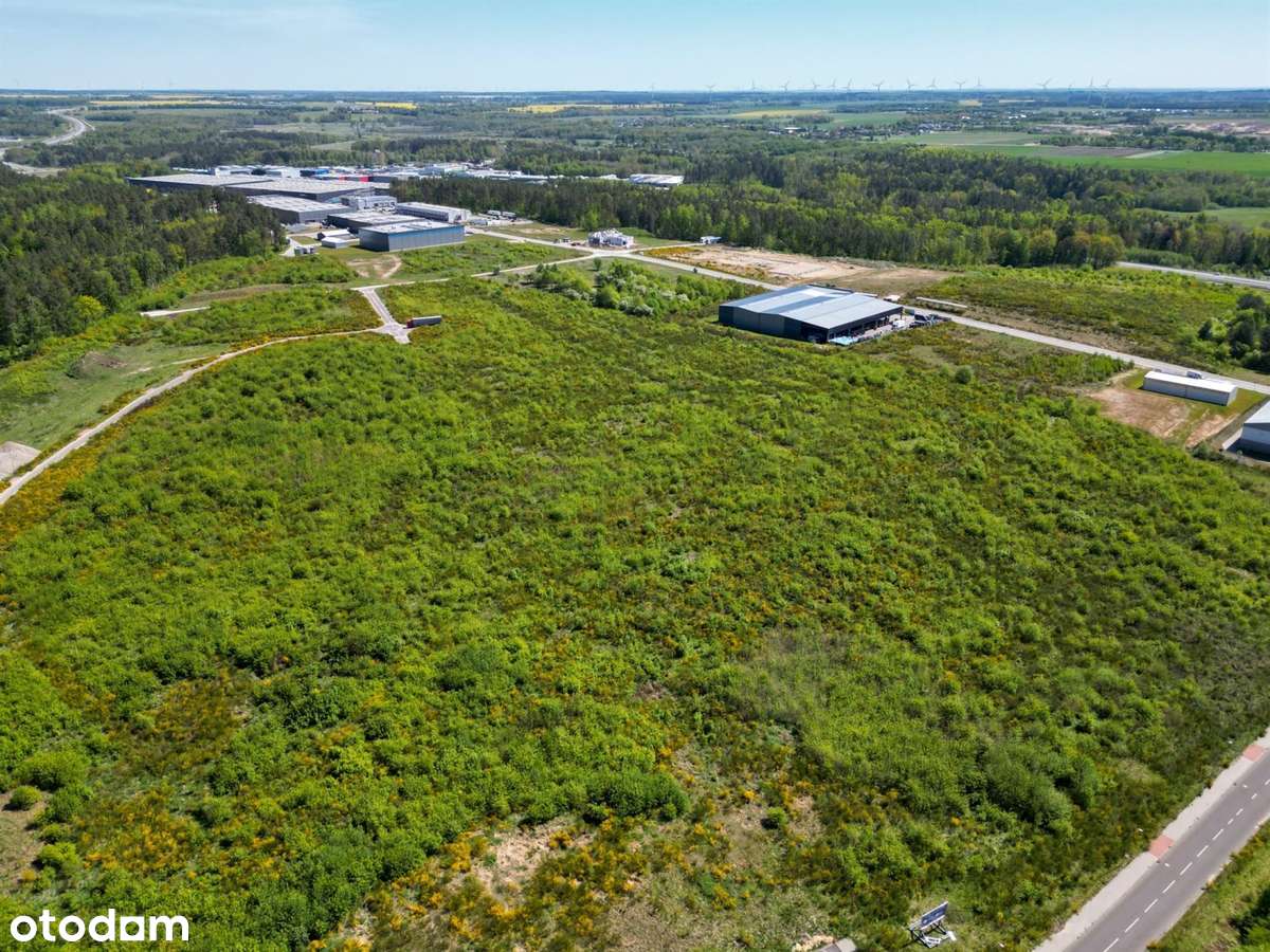 Sprzedaż|działka inwestycyjna|3 ha| Słupsk|mpzp - Pełny obrazek: 5/6
