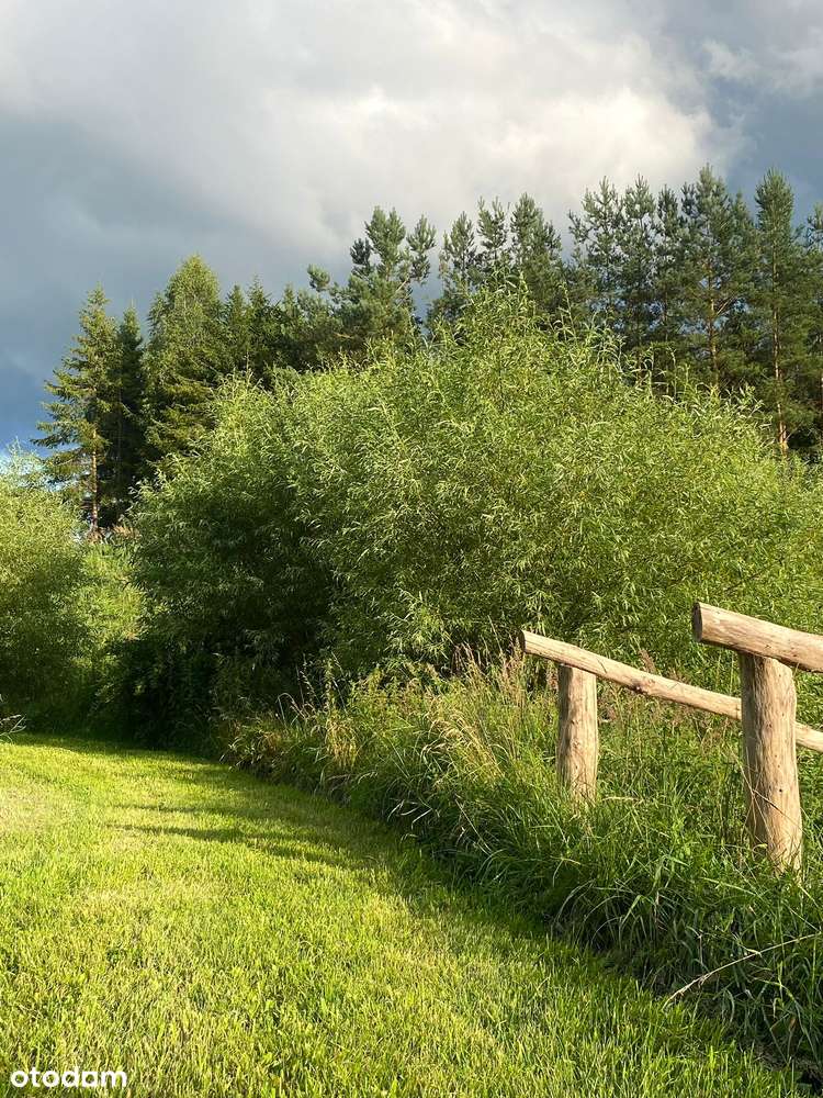 Działka siedliskowa z wydanymi warunkami zabudowy + stawy rybne-5
