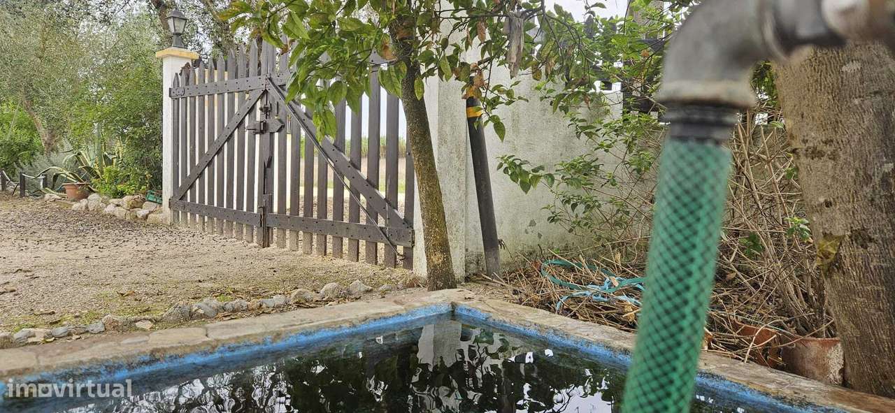 Moradia Térrea / Quintinha em Foros de Salvaterra-50