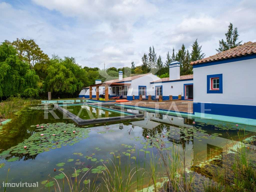 Propriedade no Alentejo | Montemor-o-Novo | A uma hora de Lisboa-24