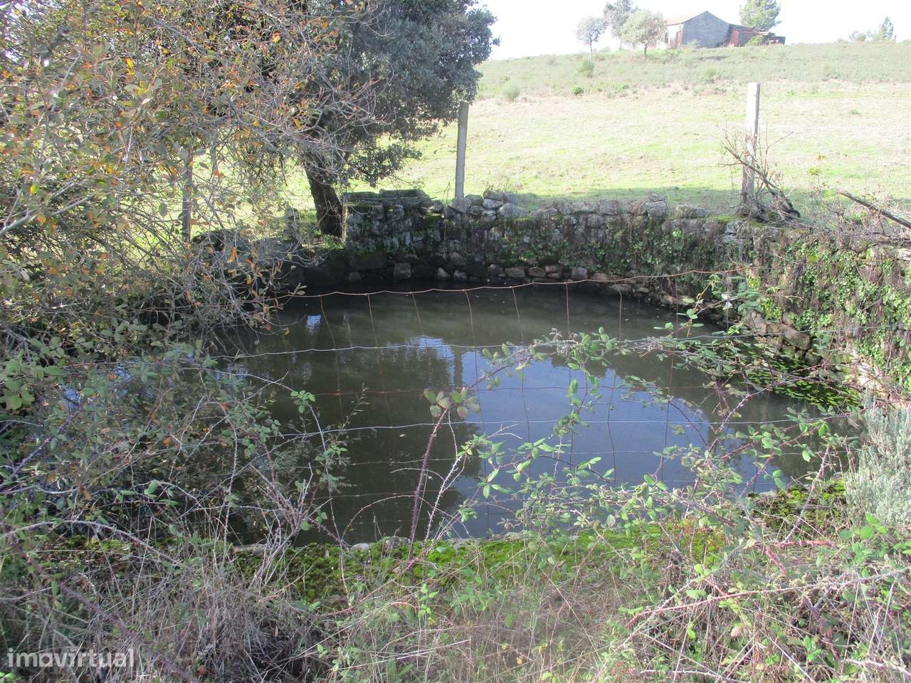 Quinta, Venda - Grande imagem: 4/22