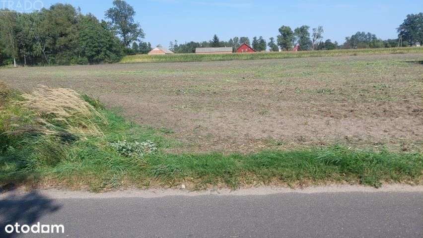 Gospodarstwo 6ha, Babiak, Krukowo-3