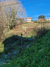 Lote Urbano 1.981 m - Grande imagem: 4/22