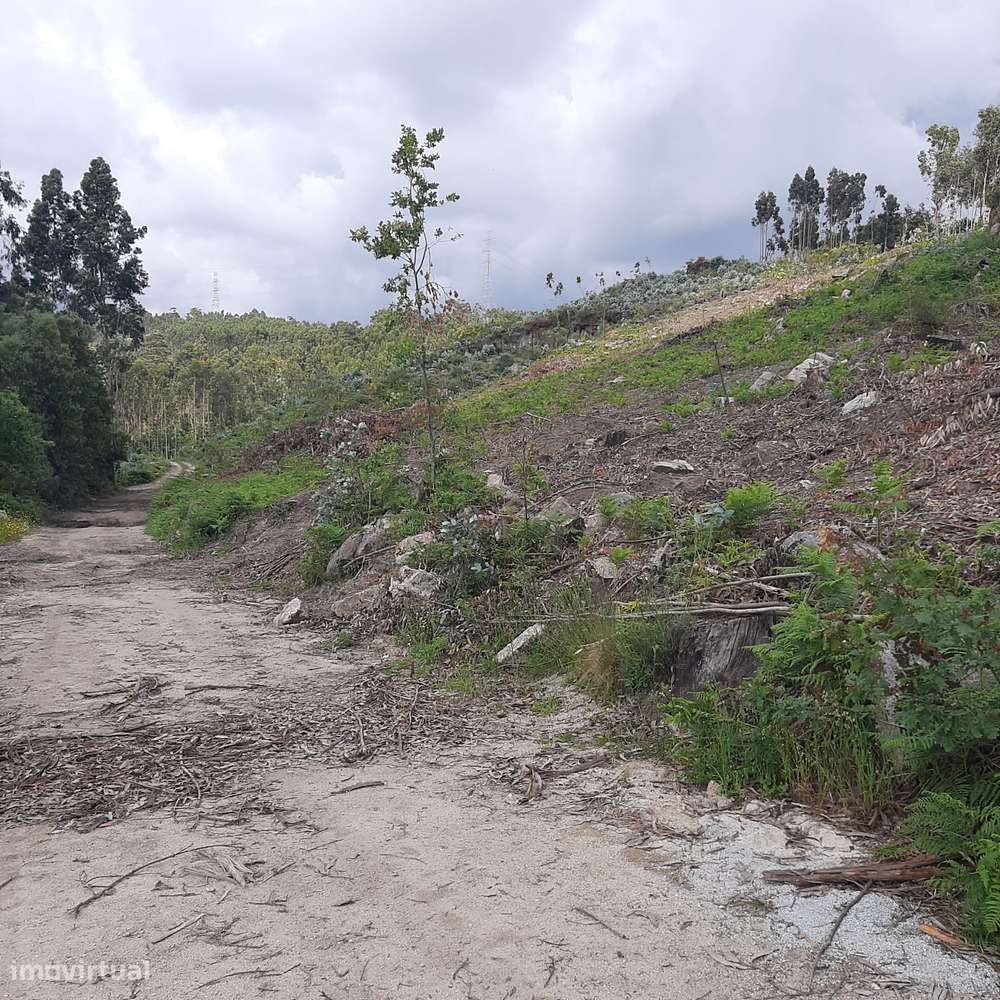 Terreno Rans Penafiel - visão e valorização a médio e longo prazo-8