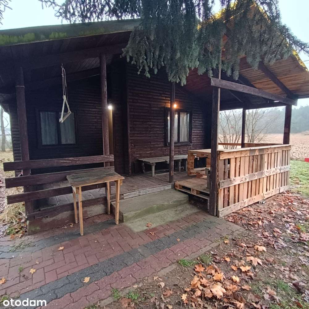 Domek rekreacyjny na dużej ogrodzonej działce blisko rzeki Warta - Pełny obrazek: 2/14