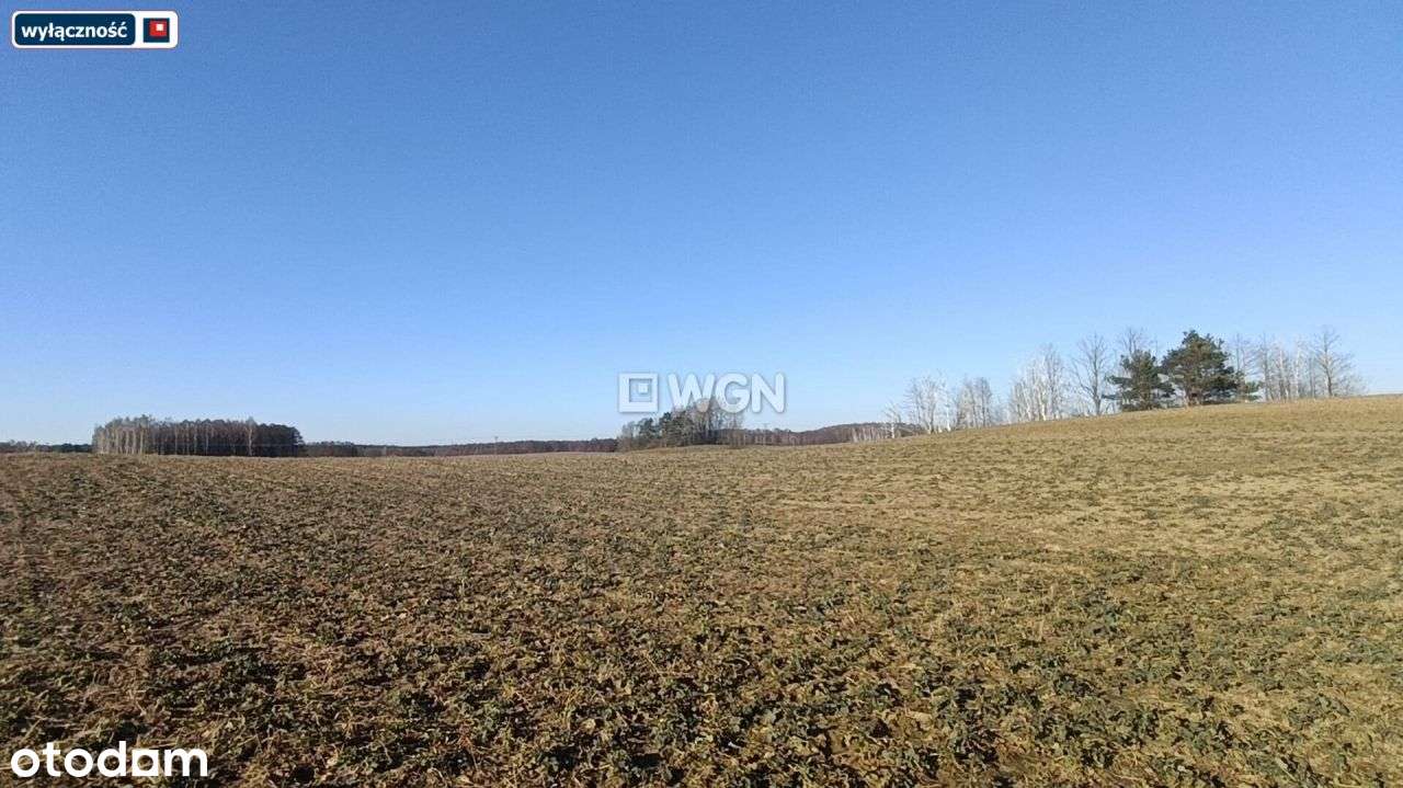 Działka blisko plaży gminnej - Pełny obrazek: 1/13