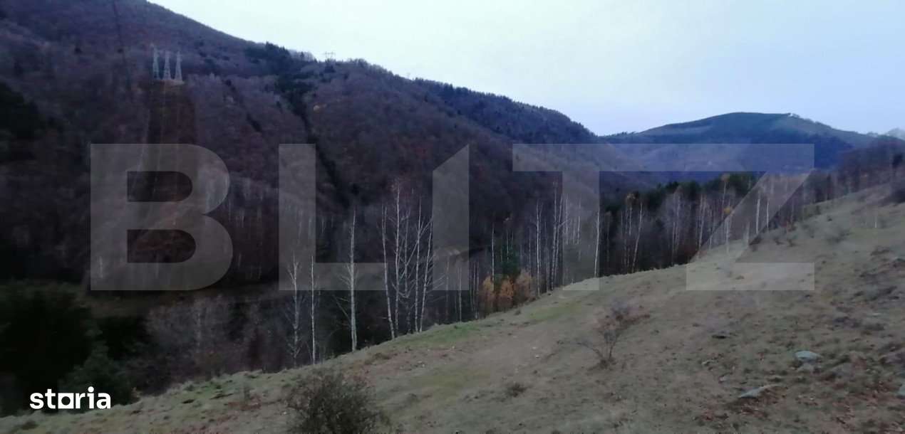 Teren 14 ha compact langa Lacul Tau Bistra - Imagine principală: 5/7