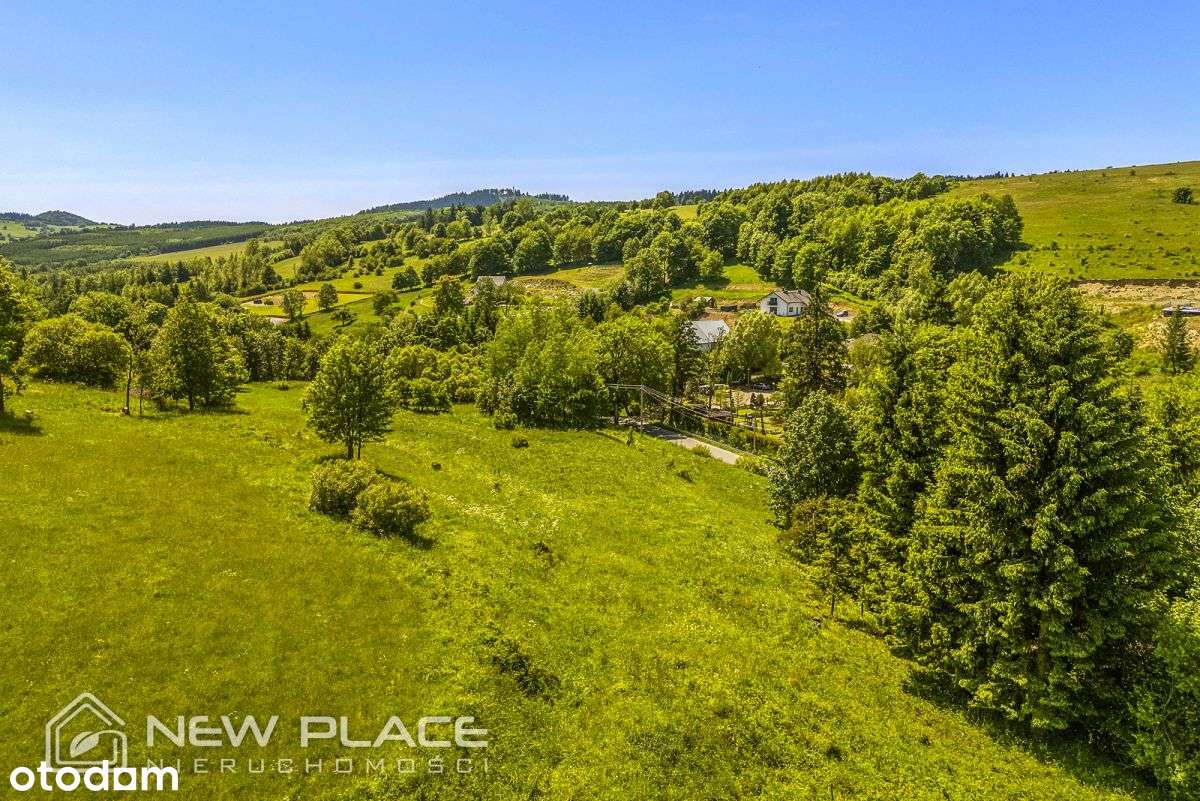 Nowa cena, Mpzp, Łężyce Duszniki-Zdrój-7