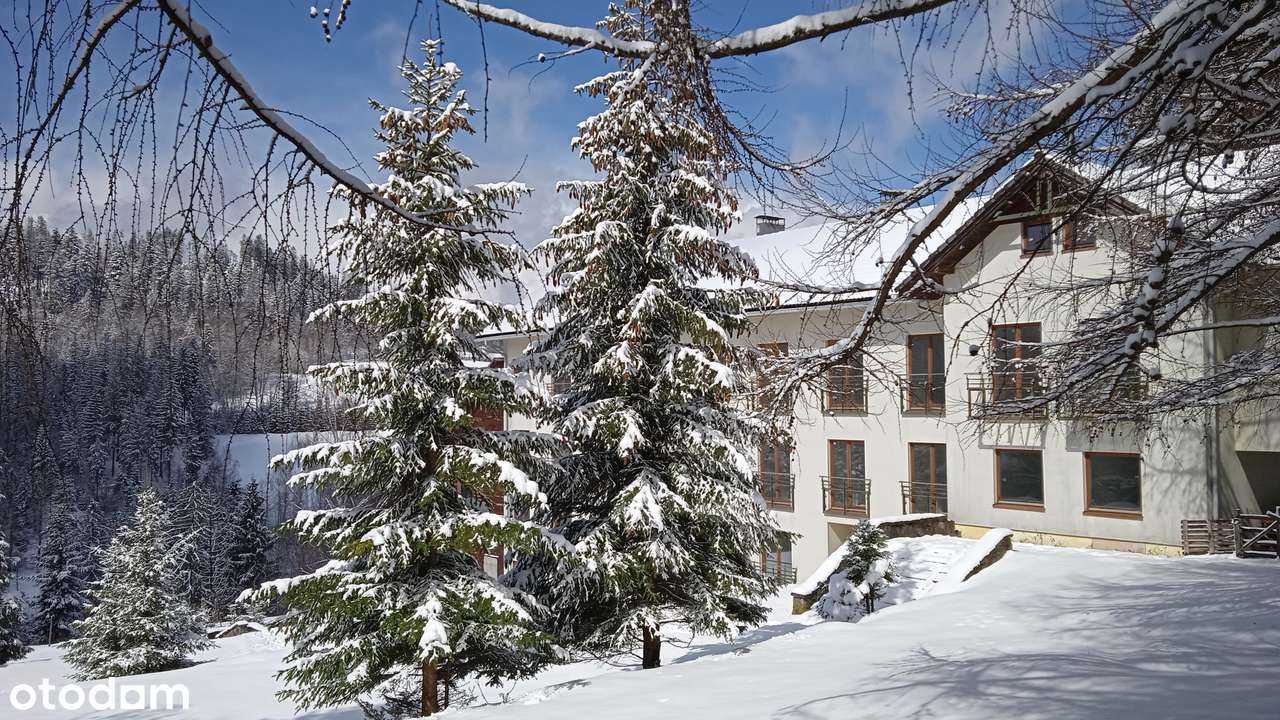 Inwestycja apartamentowo-pensjonatowa-5