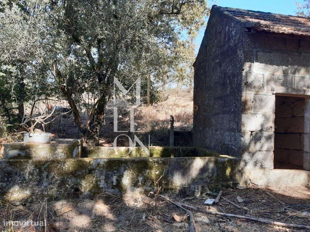 Quinta de Alvim com 27000m2 a 7 km do Marco de Canaveses - Grande imagem: 5/7