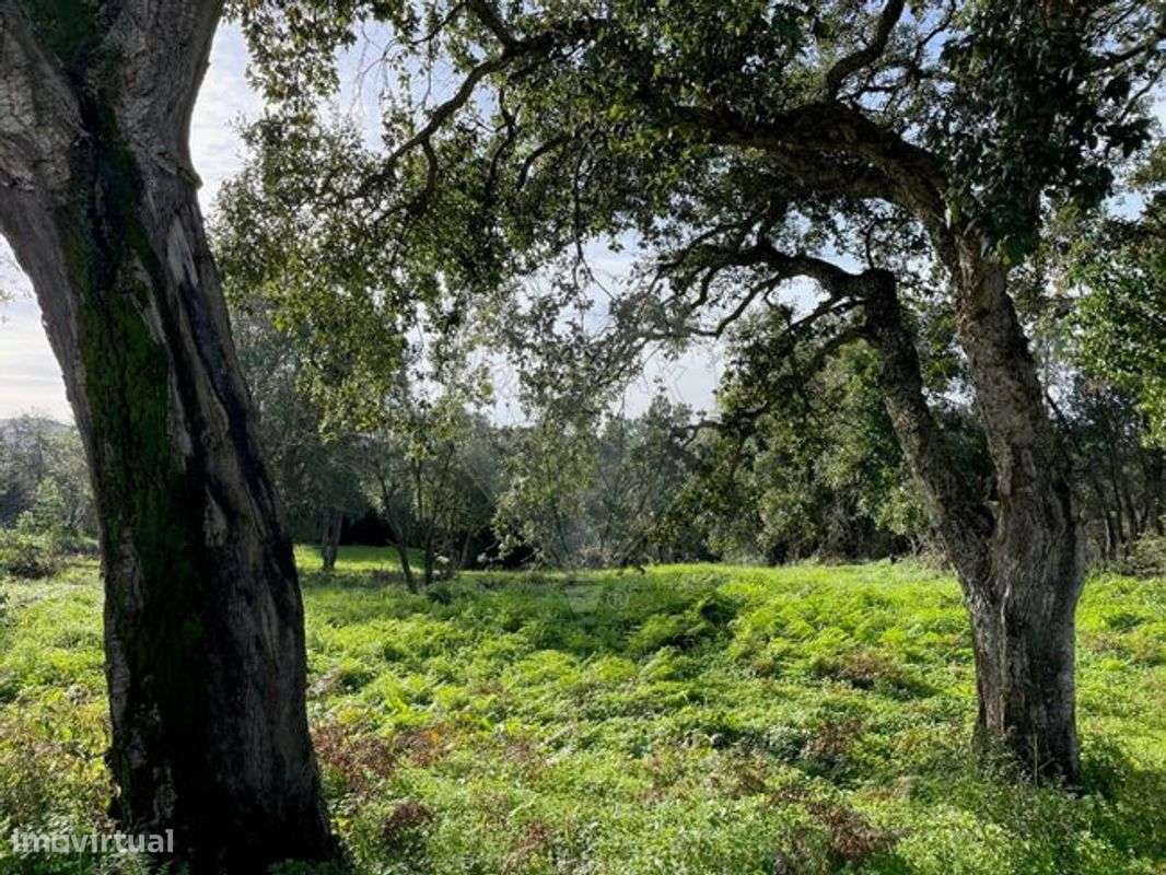 Terreno  para venda - Grande imagem: 5/6