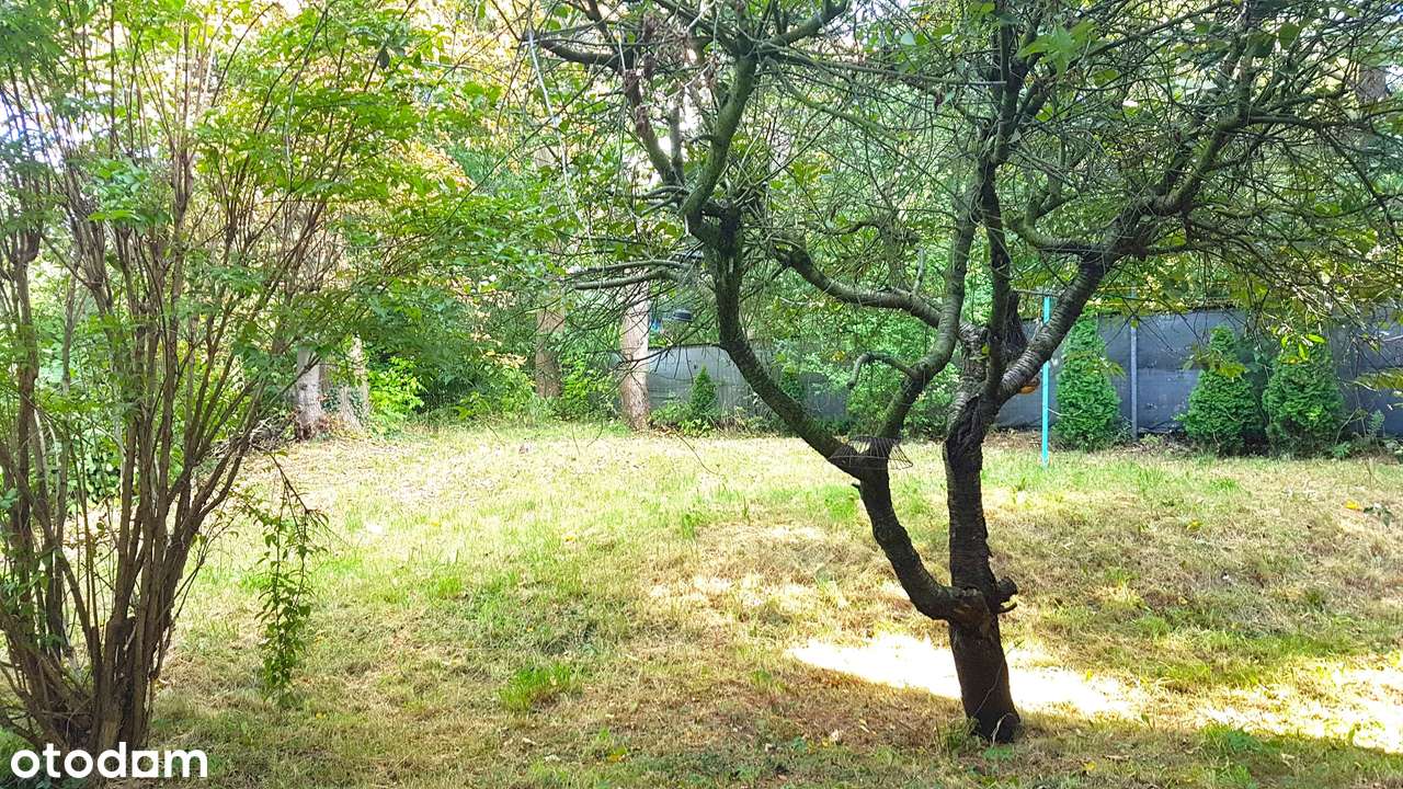 Komfort i swoboda: więcej, niż mieszkanie, taniej niż dom.-15