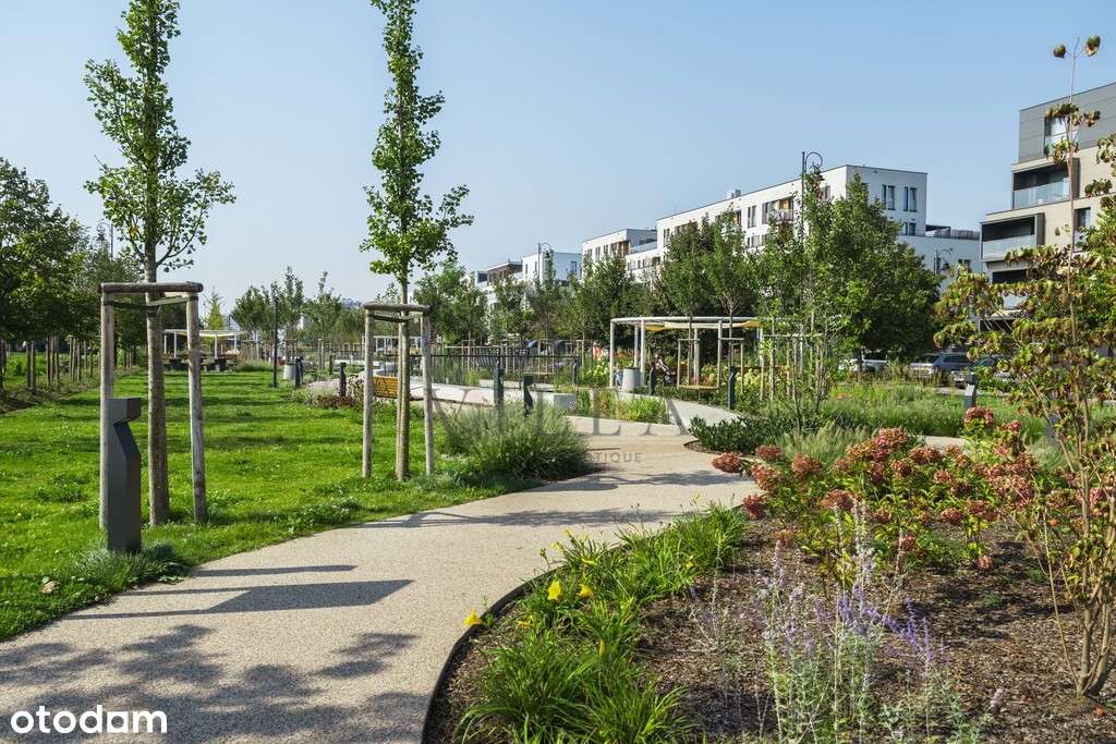 stan deweloperski / salon 50 m2 / 4 x garaż-18