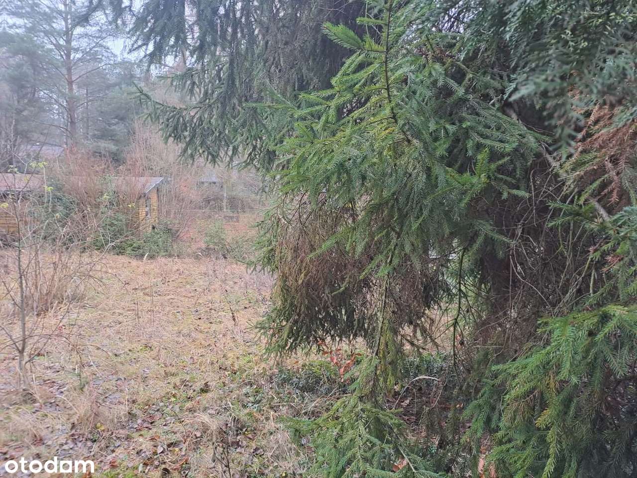 Działka w Zofiówce, idealna na wypoczynek blisko Łodzi - Pełny obrazek: 5/9
