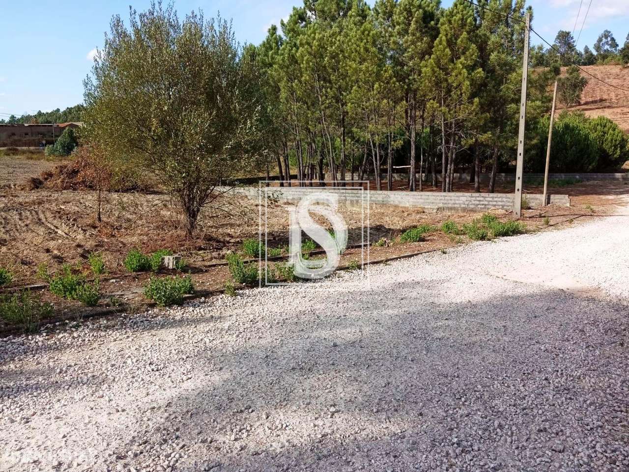 Terreno em UDF de Serra e Junceira-7