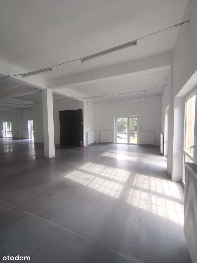 Wynajmij 100m2 a może 200m2? - Pełny obrazek: 5/11