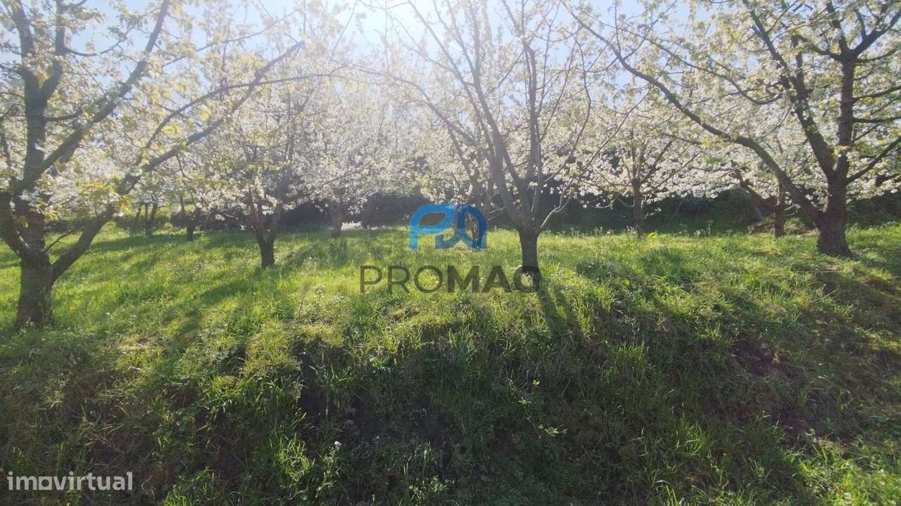 Quinta do Valado- Excelente Investimento em Resende-10