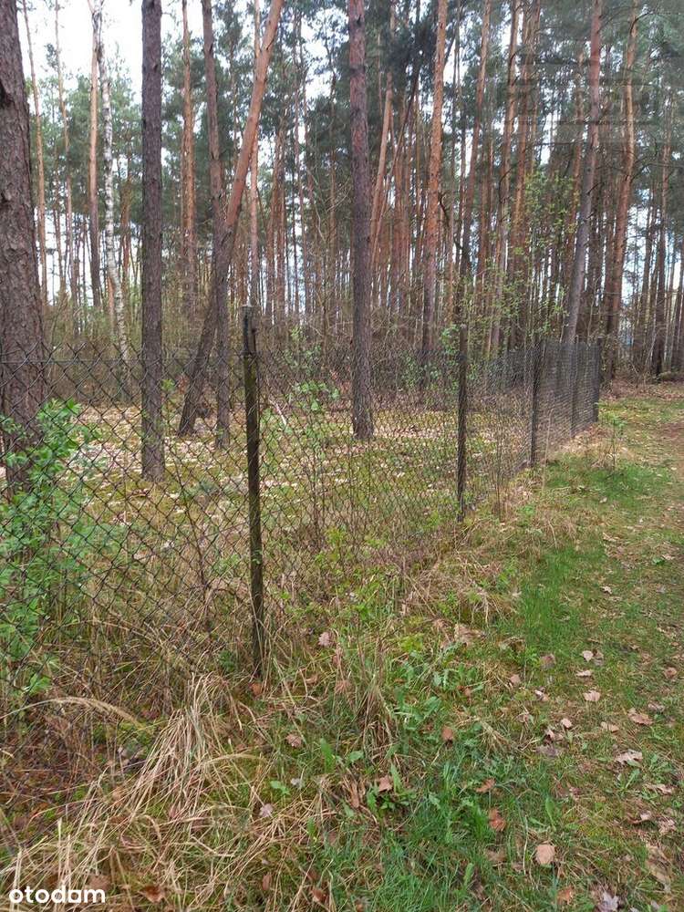 Klimatyczna działka 1500m2 Siestrzeń - Pełny obrazek: 4/5