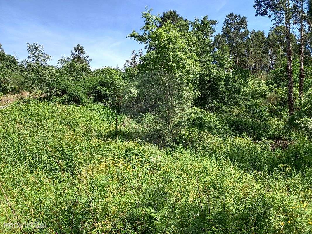 Terreno  para venda - Grande imagem: 5/10