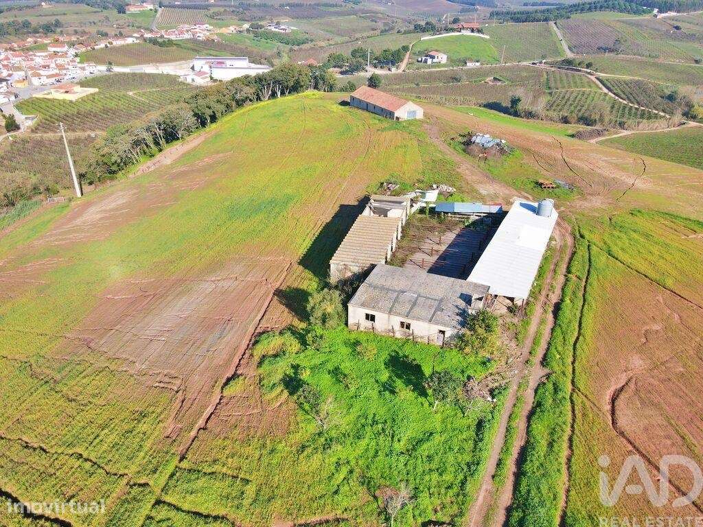 Quinta em Peral de 92520,00 m2 - Grande imagem: 3/30