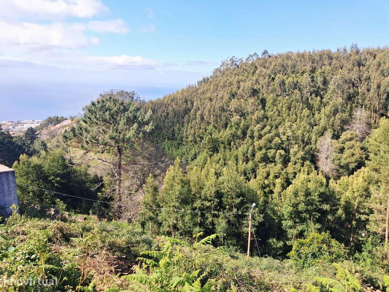 Terreno Urbano para Construção – Camacha - Grande imagem: 5/16