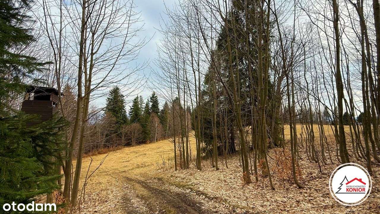 Działka na zboczu Skalitego . - Pełny obrazek: 3/9