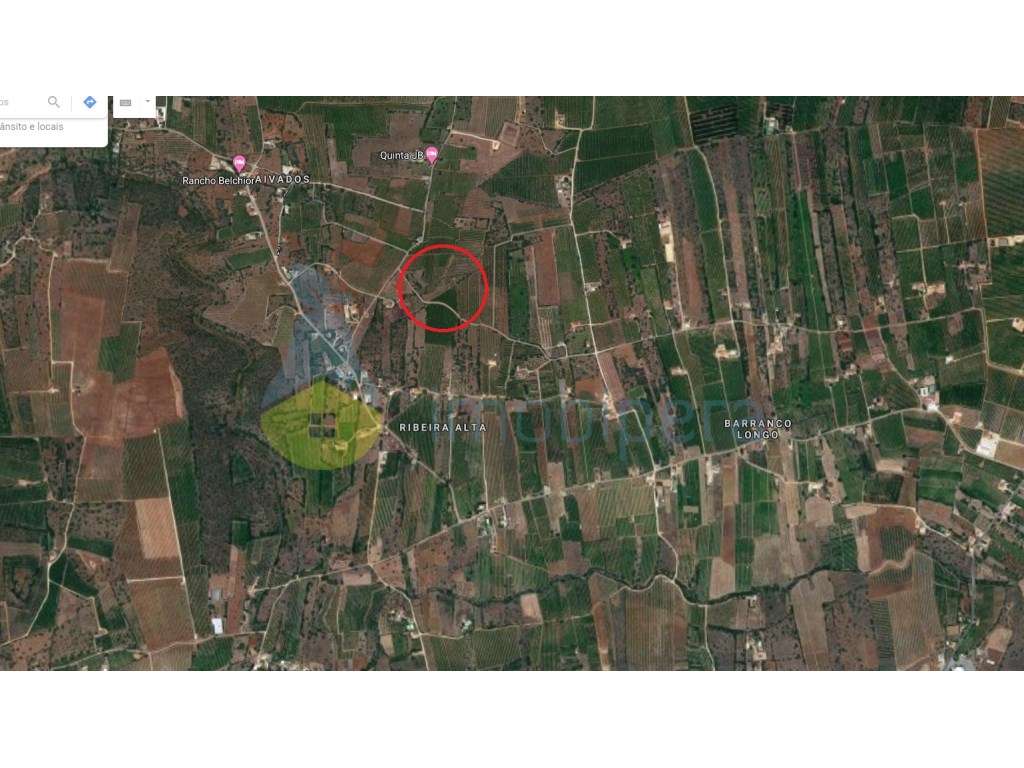 Ribeira Alta - Algoz, Terreno C/ Electricidade -5.400m2 - Grande imagem: 2/2