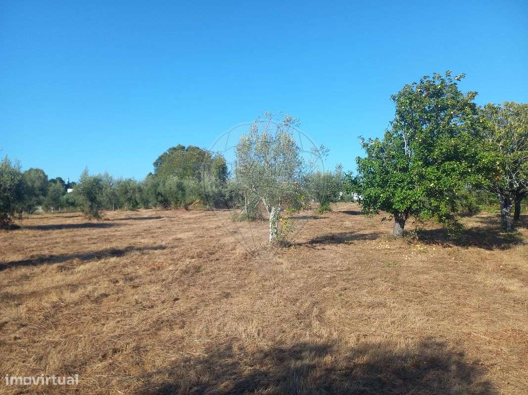 Terreno  para venda - Grande imagem: 2/9