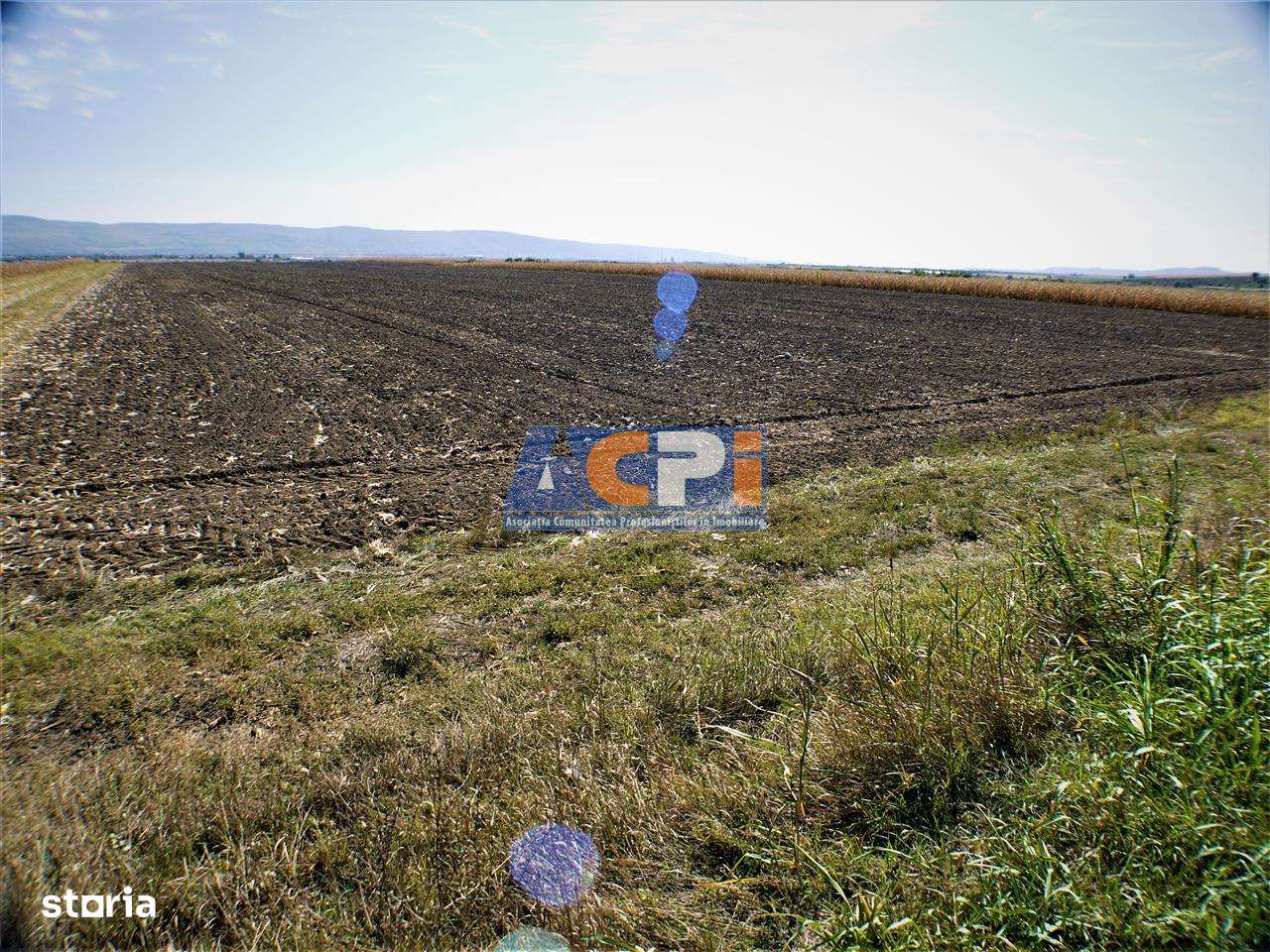 Teren iesire din Nicolae Balcescu, la 200ml de E85 Bacau - Imagine principală: 4/12