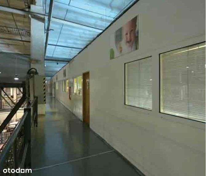 Hala/Magazyn, 30 000 m², Katowice - Pełny obrazek: 5/6