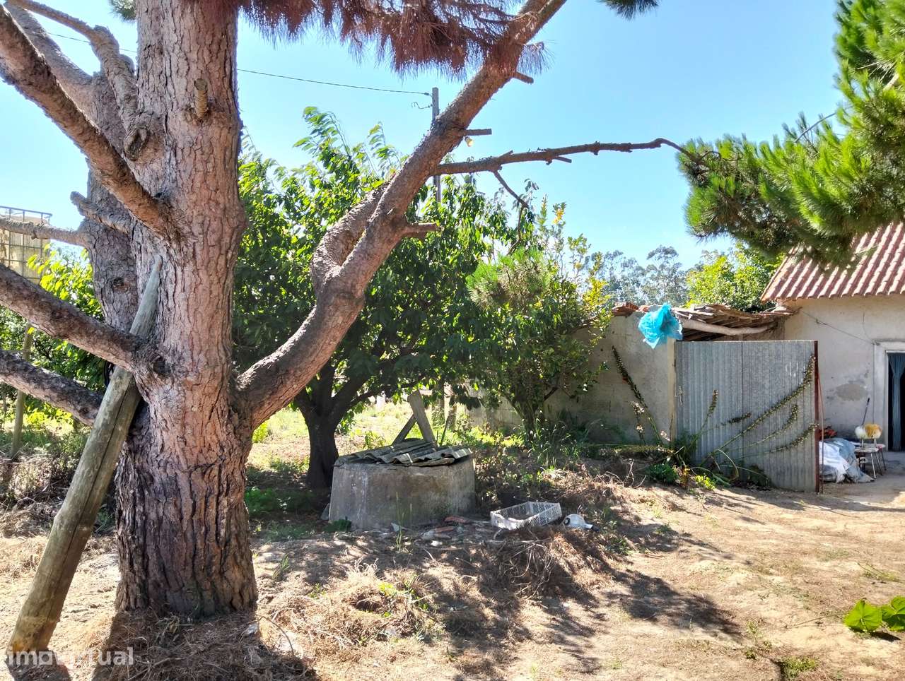 Moradia com terreno c/2 artigos Casal Jorge Dias -Alcobaça-19