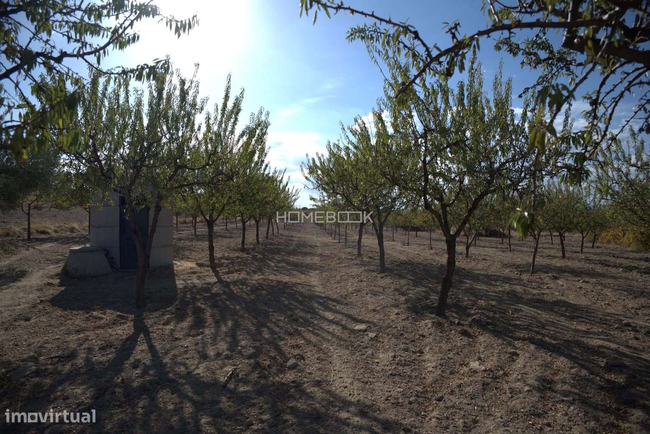 Conjunto de Casas de Aldeia para Turismo Rural – Vale do Côa-38