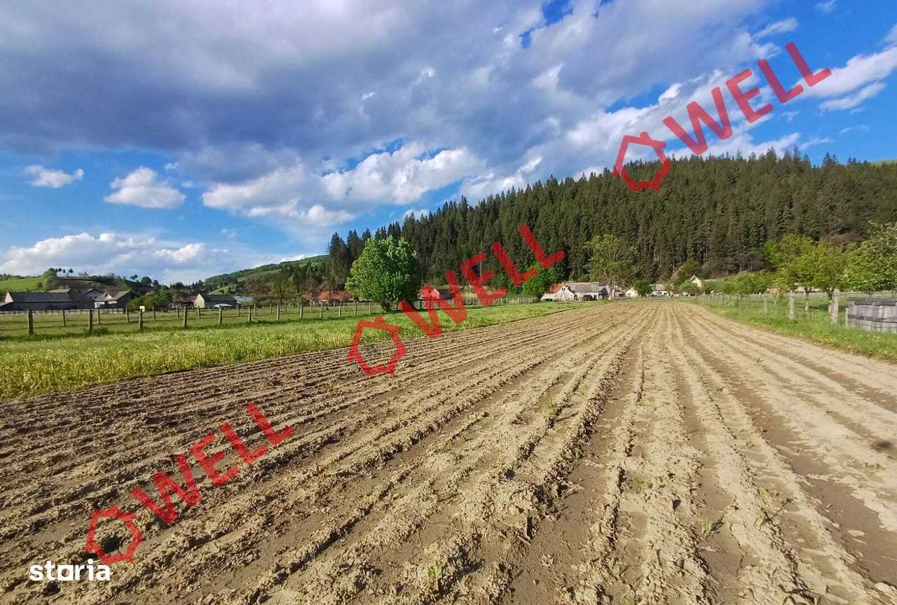 De vânzare teren intravilan în localitatea Sita Buzăului! - Imagine principală: 5/6