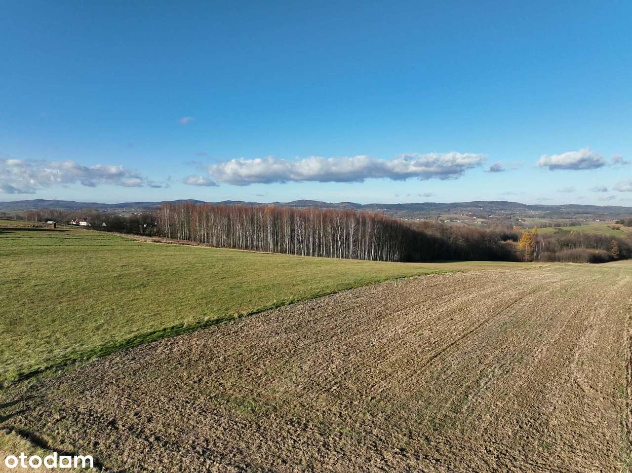 Ponad 1,5 ha działka w Ołpinach gm. Szerzyny-7