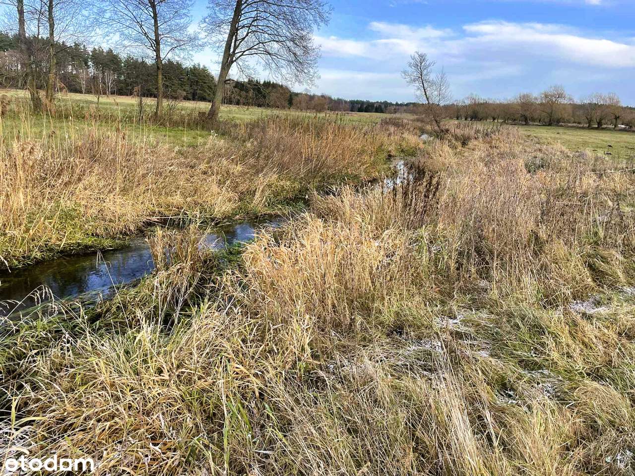 Działka na sprzedaż Zabielne, gmina Biała Piska - Pełny obrazek: 5/11