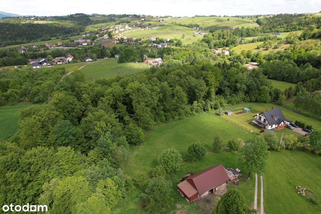 Działka, 3 351 m², Librantowa - Pełny obrazek: 5/7