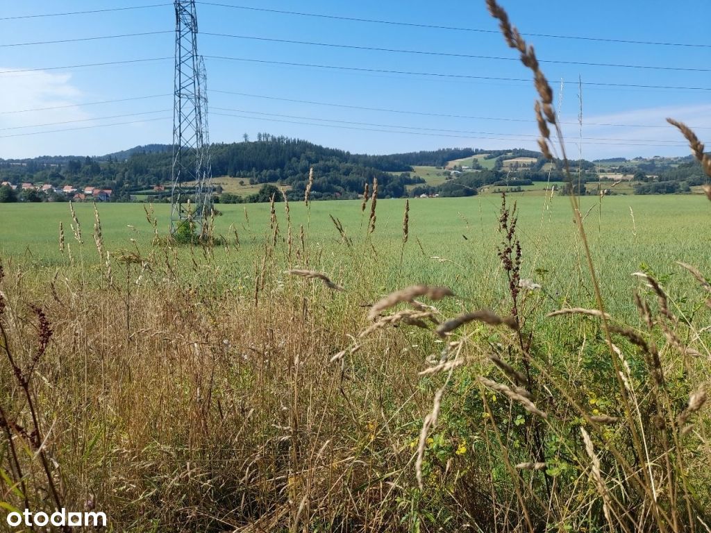 I przetarg - Nowa Ruda, Drogosław dz. nr 201