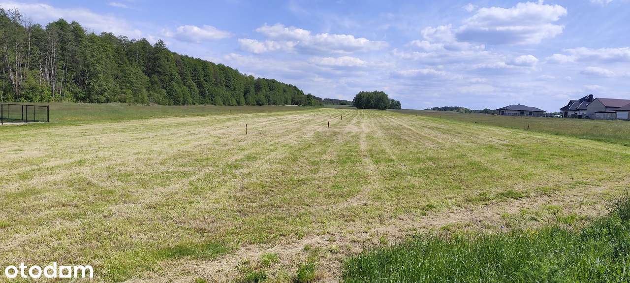Sprzedam 2  działki budowlane Siennica - Pełny obrazek: 4/5