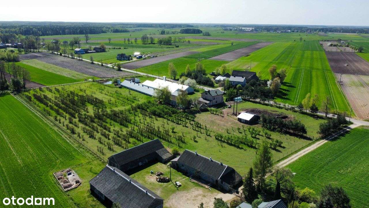 Ferma drobiu na sprzedaż, gospodarstwo z domem i dużą działką - Pełny obrazek: 5/17