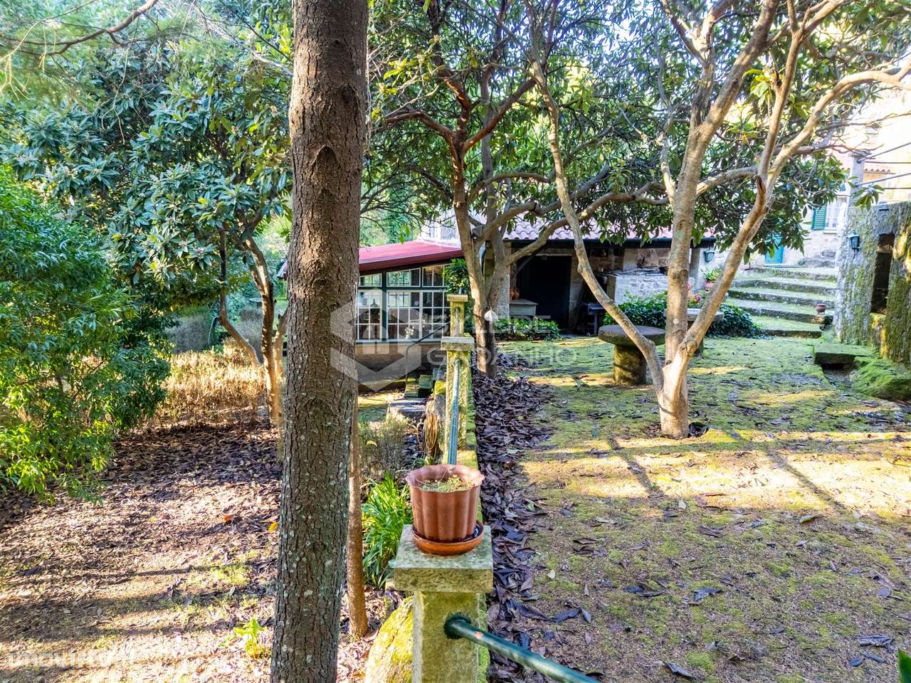 Quinta T3 Venda em Castelo Novo,Fundão-25