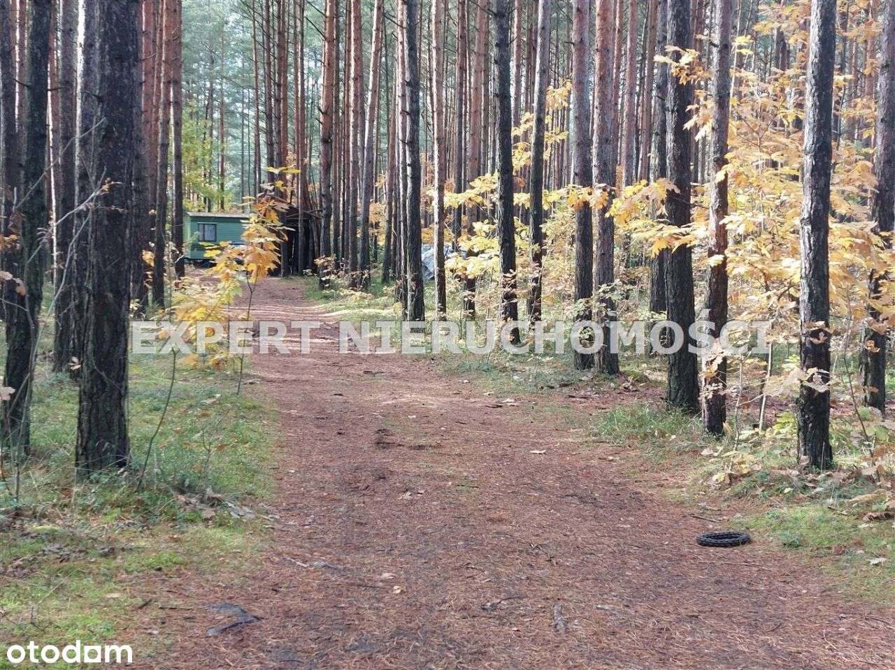 Działka Z Domem Holenderskim, Prąd-Siła, Ogrodzona - Pełny obrazek: 4/20