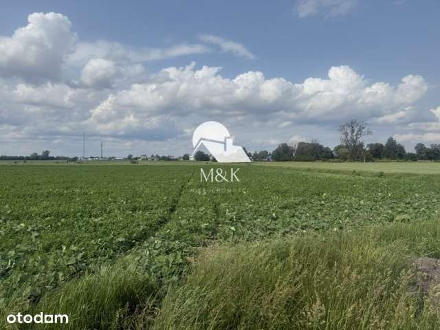 Działka rolna w Brwinowie-2