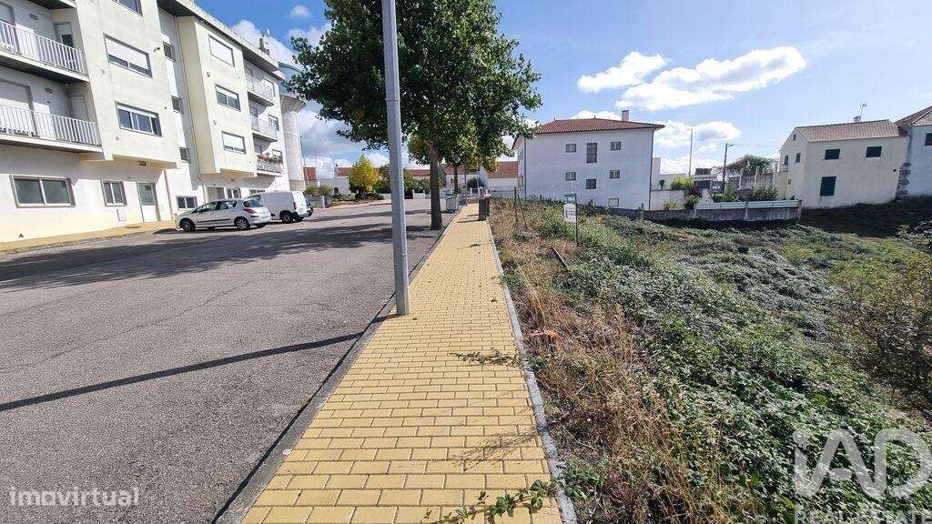 Terreno para construção em Sabugal e Aldeia de Santo António de 360,00 - Grande imagem: 4/12