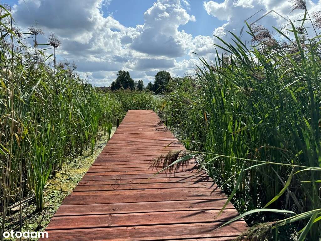 Dom z dostępem do jeziora, Oracze - Pełny obrazek: 4/20