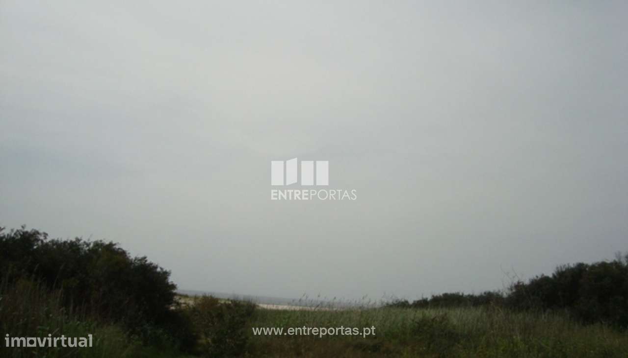 Terreno Agrícola - Afife - Grande imagem: 5/6