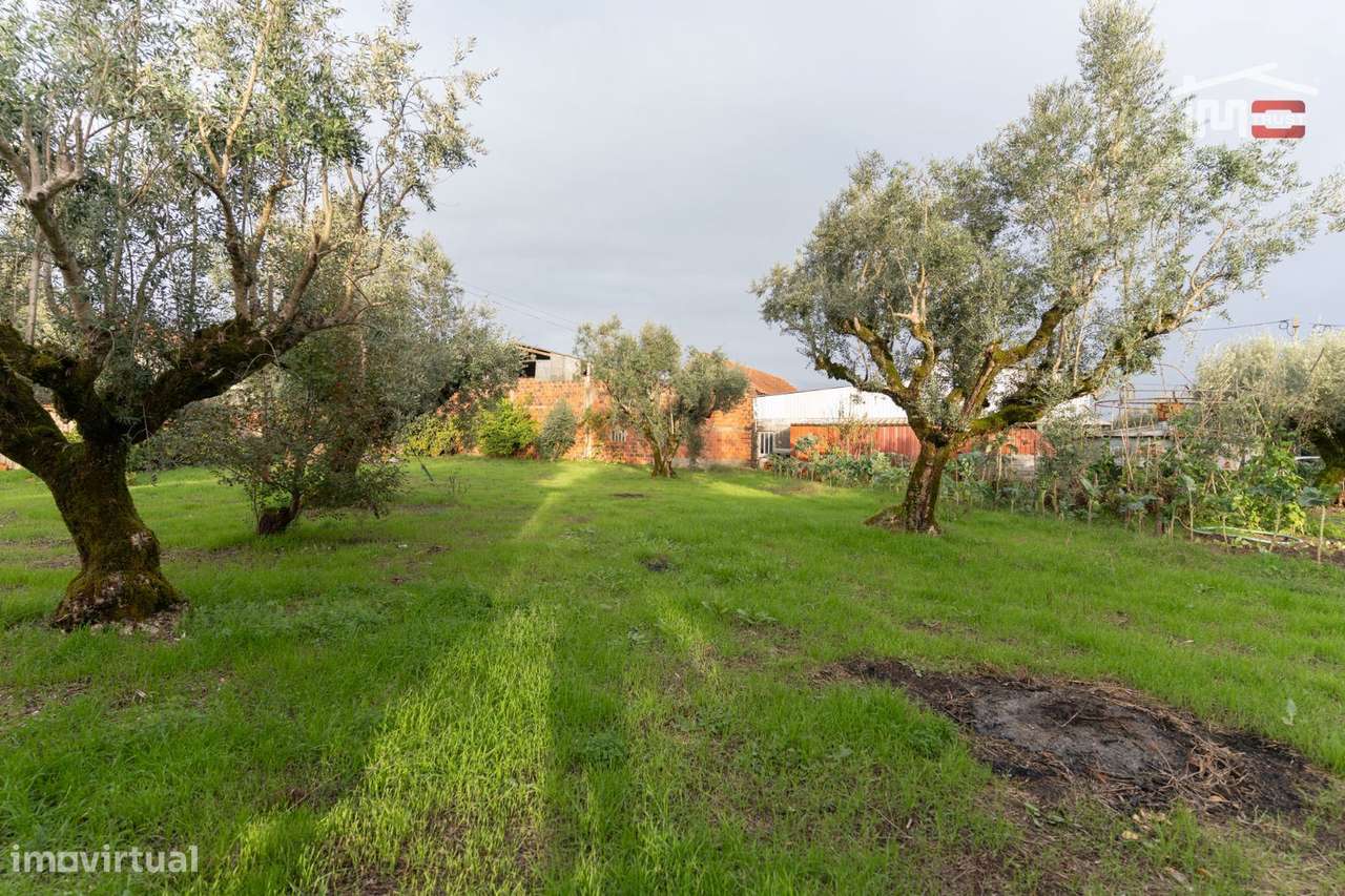 Excelente moradia térrea T3 para recuperar-4